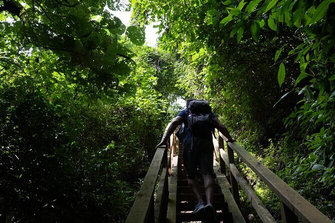 Birdwatching and Scenic Trail - Who Should Consider Booking?