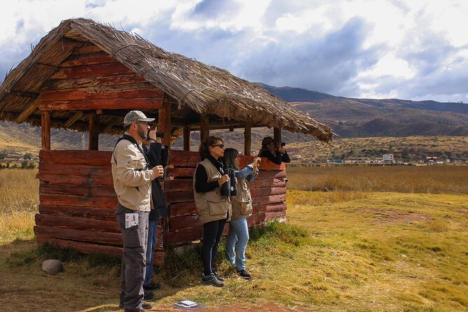 Birdwatching at Huacarpay Wetland in Cusco - Exploring Huacarpay Wetlands: What to Expect