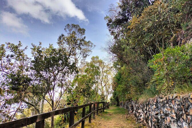 Birdwatching at Monserrate Bogotá 4H - Key Points