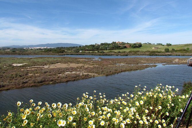 Birdwatching at Ria de Alvor - Exploring the Birdwatching at Ria de Alvor Tour