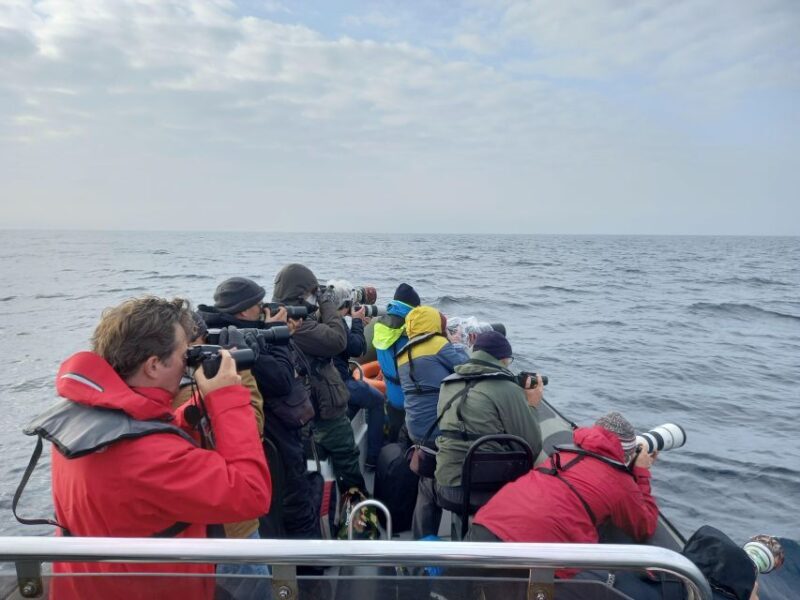 Birdwatching Boat Tour in the Tagus Estuary - FAQ