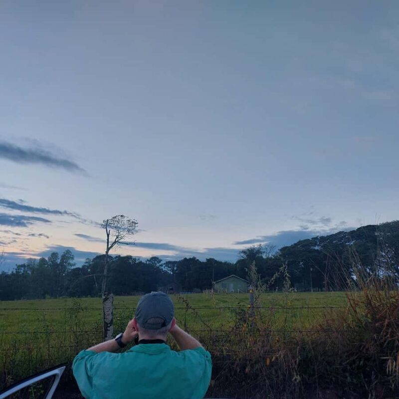 Birdwatching & Brazilian side of the falls. - Birdwatching & Brazilian Side of the Falls: A Balanced Look at One of Brazil’s Best Natural Experiences