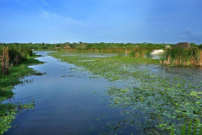 Birdwatching by Boat at Kalametiya Sanctuary - FAQ