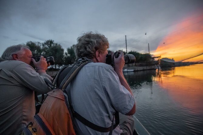 Birdwatching by boat in a small group in the Pialassa Baiona - An In-Depth Look at the Experience