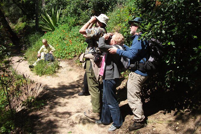Birdwatching day in the Monchique hills - Final Thoughts: Is This Tour Worth It?