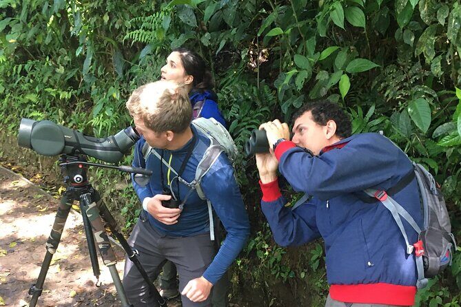 Birdwatching Half-Day Tour between clouds and forest in Monteverde - Who Should Book This Tour?