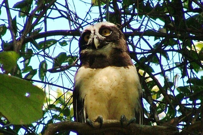 Birdwatching hiking tour - Key Points