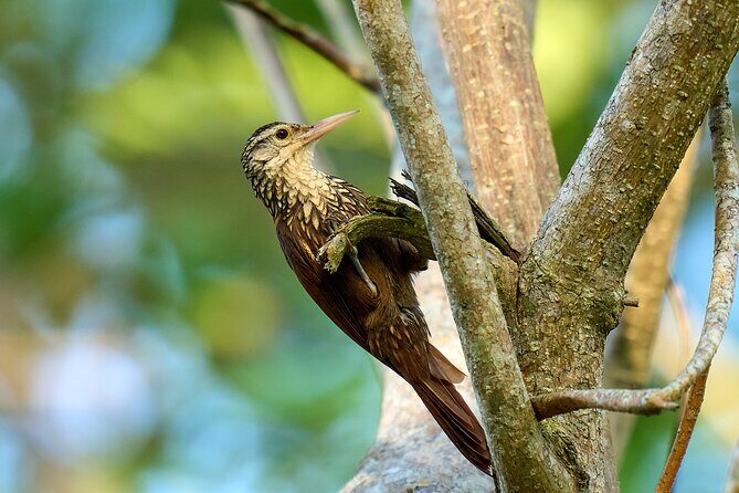 Birdwatching in a private nature reserve - Final Thoughts