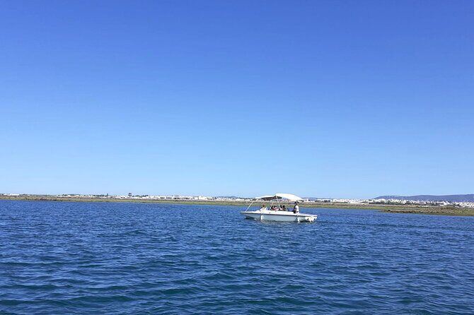 Birdwatching in Ria Formosa - Eco Boat Tour from Faro - A Close Look at the Experience