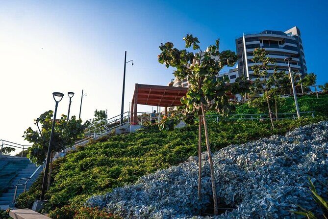 Birdwatching & Landscaping Tour in Lima - Authentic Experiences and What Travelers Say