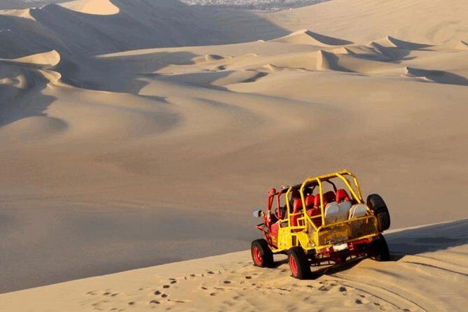 Birdwatching & Landscaping Tour in Lima - The Sum Up: Who Should Book This Tour?