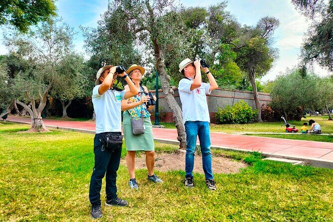 Birdwatching & Landscaping Tour in Lima - A Deep Dive into the Lima Birdwatching & Landscaping Experience