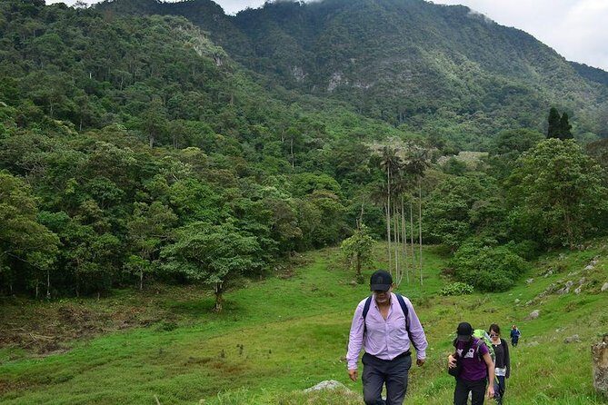 Birdwatching Private Tour at Chicaque Natural Park with Lunch - FAQ