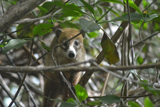 Birdwatching Sian Ka'an Biosphere Reserve - The Sum Up: Is It Worth It?