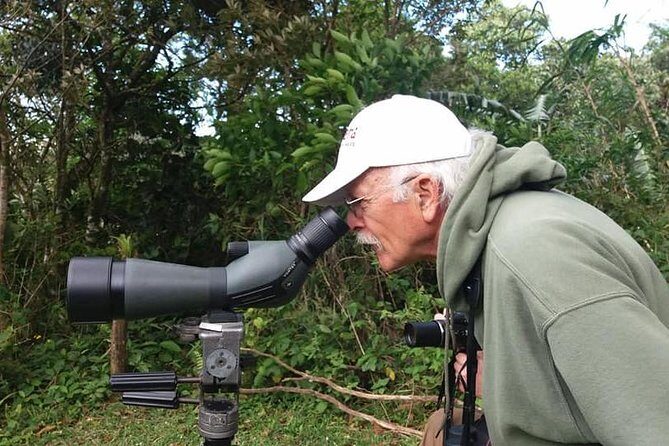 Birdwatching tour Combo Curicancha & Hanging Bridges - The Value of a Guided Birdwatching Experience