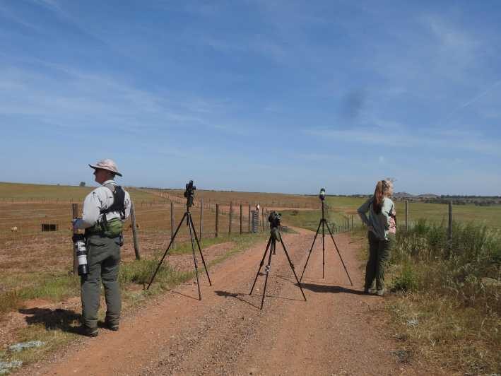 Birdwatching tour in Mértola and Castro Verde region - Who Should Consider This Tour?