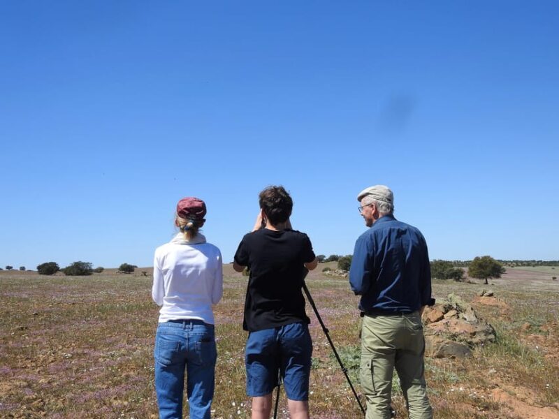Birdwatching tour in Mértola and Castro Verde region - FAQs