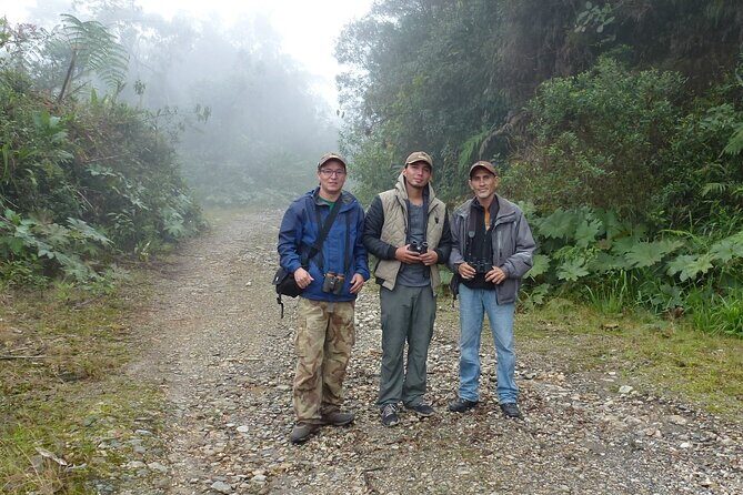 Birdwatching Tour, Via Gualaceo to the Eastern slope from Cuenca - Final Thoughts
