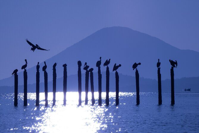 Birdwatching Tours in El Salvador with Expert Biologist Guide - In-Depth Review of the Birdwatching Tour