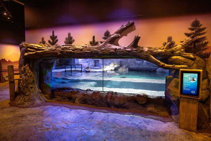 Birmingham: National Sea Life Centre Entrance Ticket - Location and Accessibility
