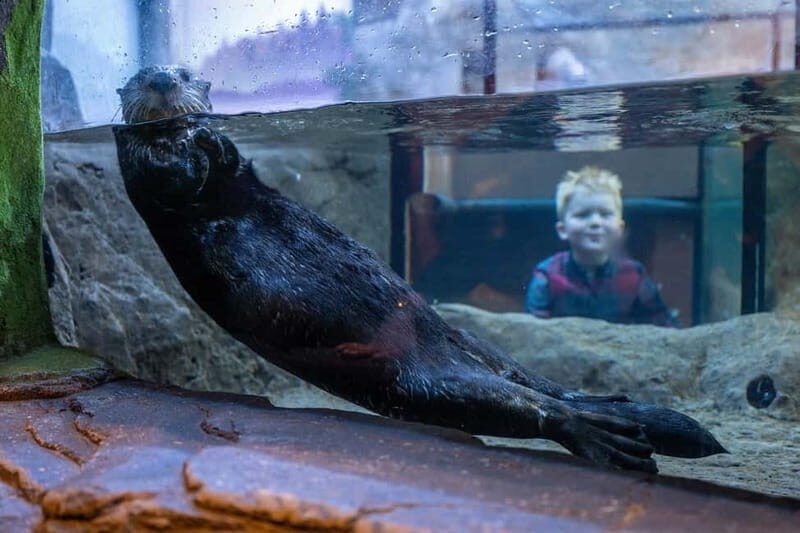 Birmingham: National Sea Life Centre Entrance Ticket - Practical Tips for Visitors