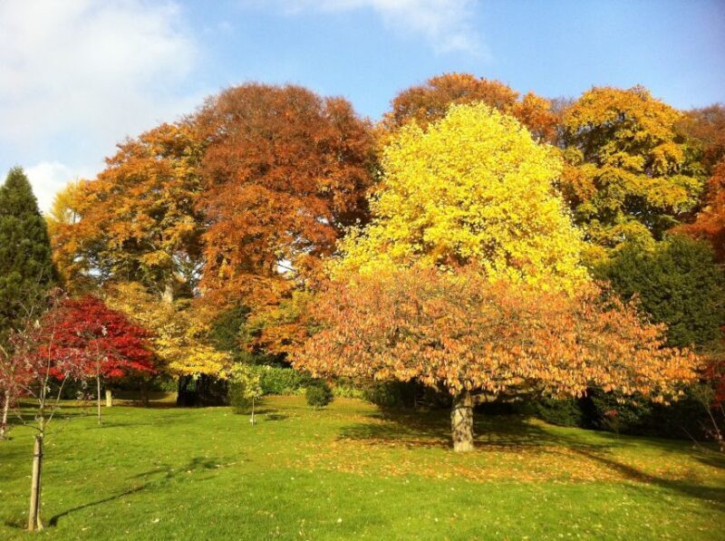 Birmingham: Winterbourne House and Garden Admission Ticket - A Deep Dive into What Makes Winterbourne House and Garden Special