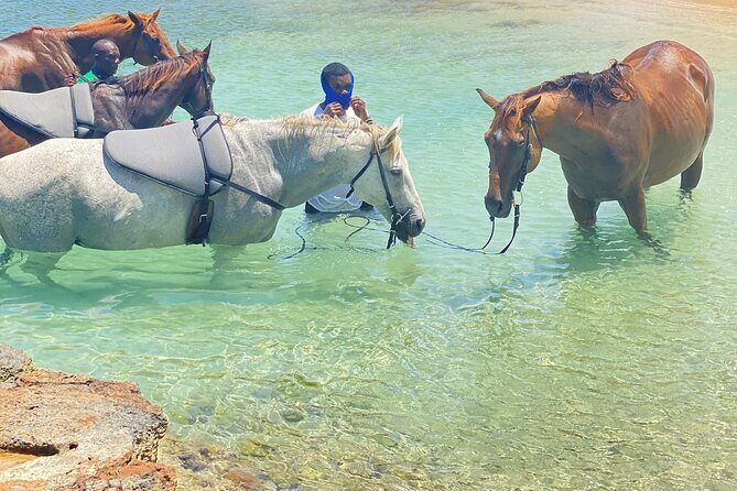 Birthday Celebration Experience in Jamaica + Transportation - The Itinerary and Experience Details