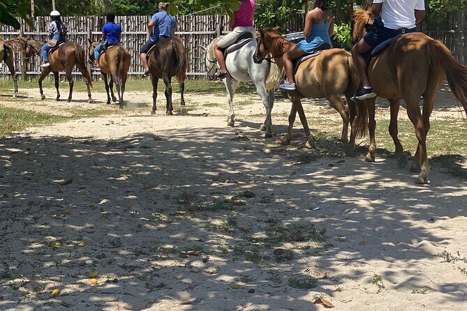 Birthday Celebration Experience in Jamaica + Transportation - Authentic Experiences and Traveler Feedback