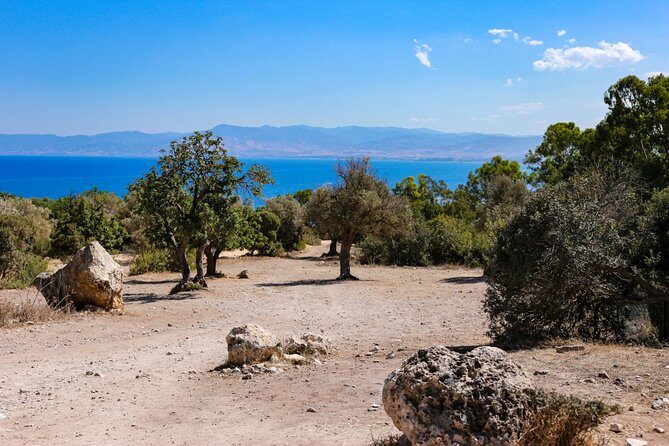 Birthplace of Aphrodite & Blue Lagoon Boat Trip from Limassol - Final Thoughts