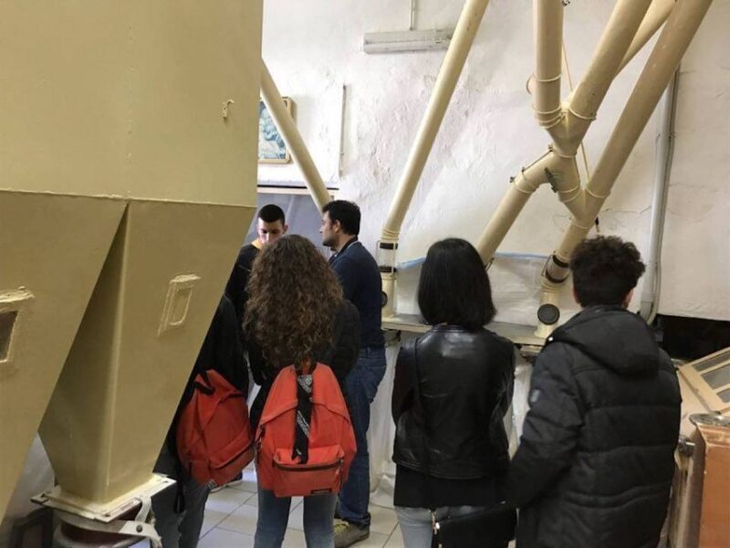 Bisacquino: Grandpa Mommo's Mill Tour - Bisacquino: Grandpa Mommos Mill Tour — An Authentic Slice of Sicilian Life
