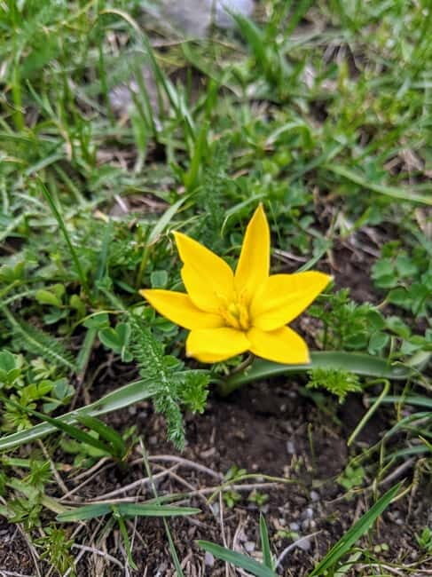 Bishkek: Ala-Archa and Alamedin Gorge Guided Tour - FAQ