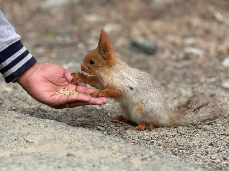 Bishkek:(3 Days) to Explore Nature, History & Nightlife - Value and Practicality