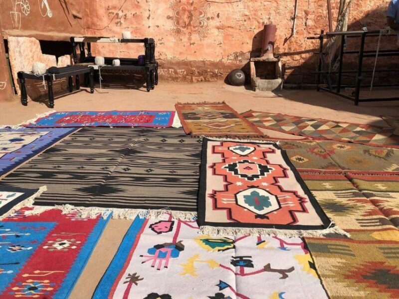 Bishnoi Village Safari Private Half Day Tour - An In-Depth Look at the Bishnoi Village Safari