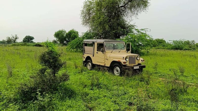 Bishnoi Village :Safari tour - Key Points