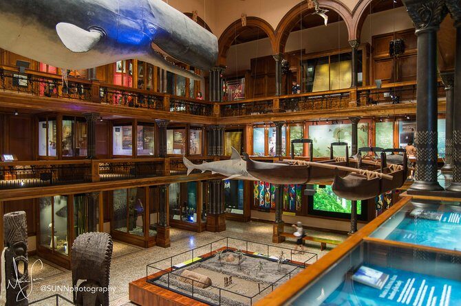 Bishop Museum General Admission Ticket - Final Thoughts