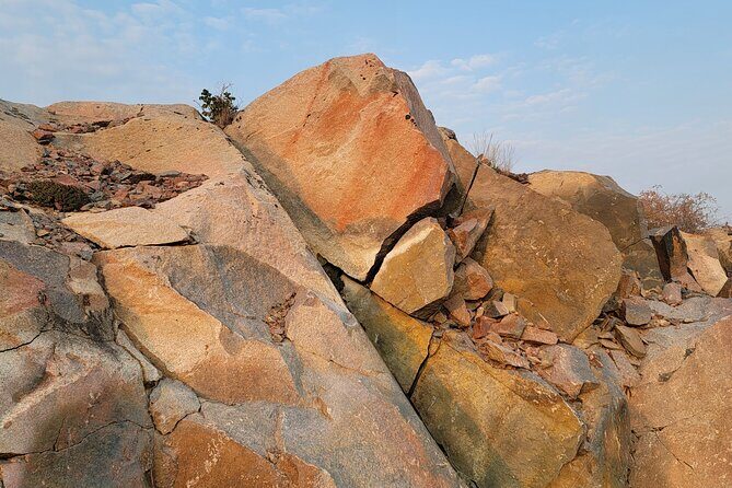 Bison Highway Road Tour - Analyzing the Value