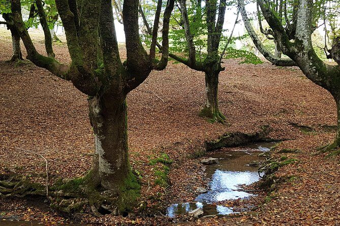 Bizkaia, Duranguesado Route. Beautiful villages and mountain landscapes. - FAQs