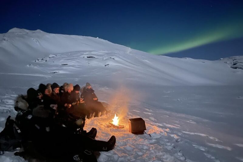 Björkliden/Abisko: Night Sky Snowmobile Tour - The Itinerary Breakdown