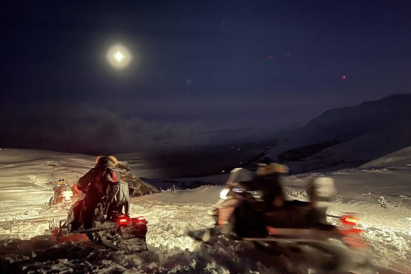 Björkliden/Abisko: Night Sky Snowmobile Tour - The Sum Up