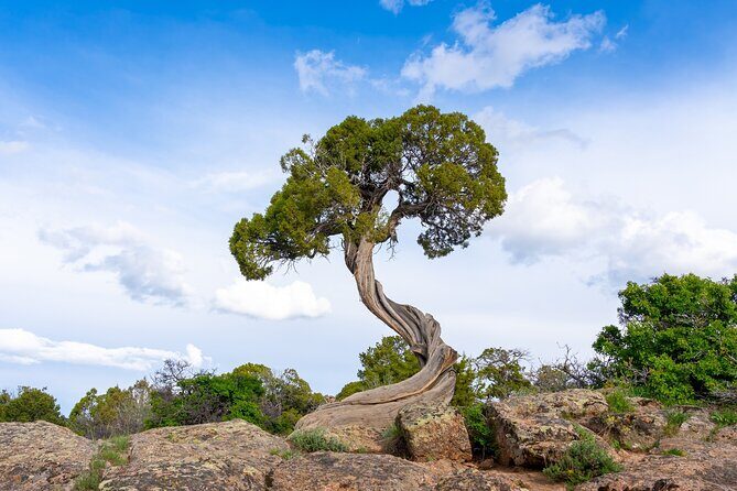 Black Canyon of the Gunnison Self-Guided Audio Driving Tour - The Sum Up: A Good Choice for the Independent Explorer