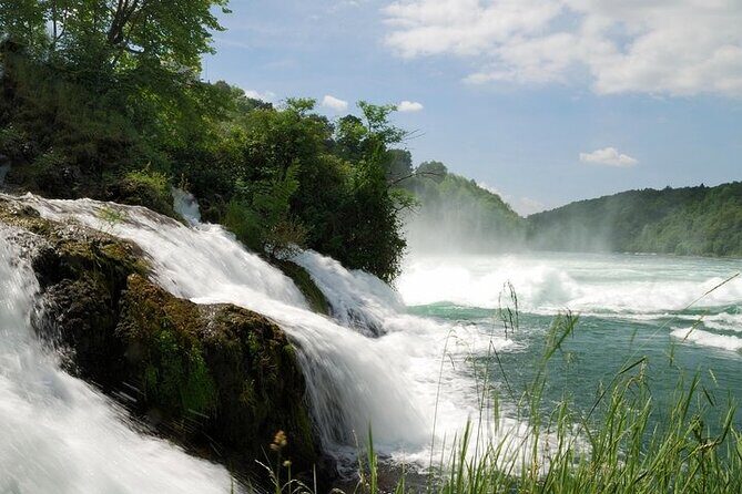 Black Forest and Rhine Falls Day Trip from Zurich - What Travelers Say: Authentic Voices