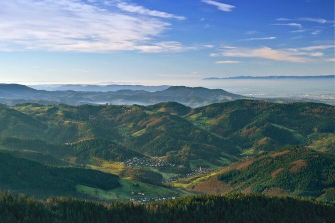 Black Forest Day Tour - Exploring the Black Forest: What to Expect
