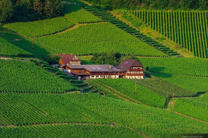 Black Forest. From Baden-Baden to Strasbourg. Two countries in one day - The Allure of the Black Forest and Strasbourg: A Day of Scenic Wonder and Cultural Charm