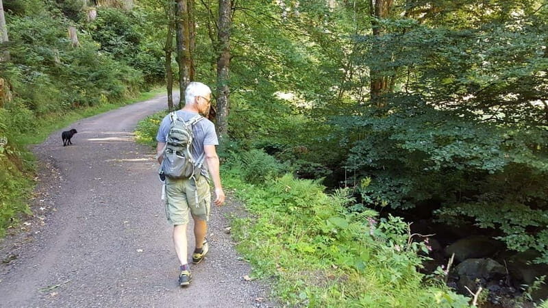 Black Forest: Ravenna Gorge Hike, Self-Guided - Black Forest: Ravenna Gorge Hike, Self-Guided – A Perfect Mix of Nature and History