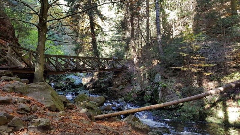 Black Forest: Ravenna Gorge Hike, Self-Guided - Who Will Enjoy This Experience?