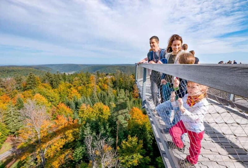 Black Forest: Treetop Walk & Lookout Tower Experience - Key Points
