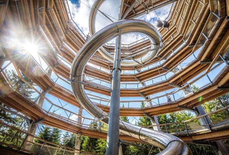 Black Forest: Treetop Walk & Lookout Tower Experience - A Closer Look at the Experience