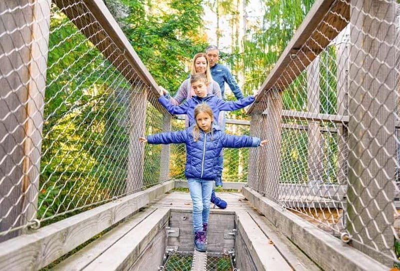 Black Forest: Treetop Walk & Lookout Tower Experience - Final Thoughts