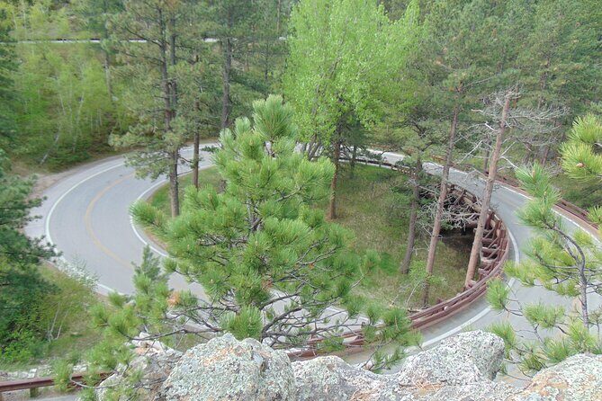 Black Hills Custom Private Day Tour - Discovering the Black Hills: An In-Depth Review