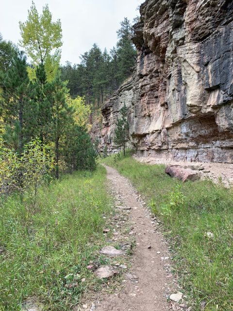 Black Hills: Private Tour of Mt. Rushmore & Flume Trail Hike - Exploring the Black Hills Private Tour: A Complete Breakdown